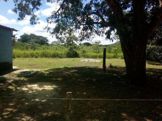 Chácara em Santo Antônio - Foto 5