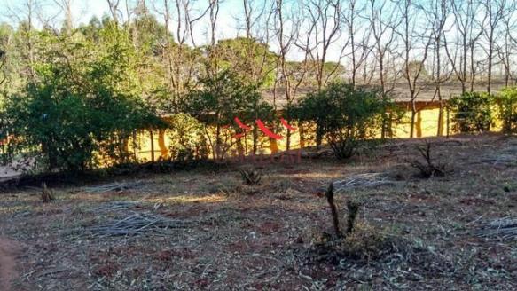 8051 | Sítio à venda em NÃO INFORMADO, IGUARAÇU - Foto 5