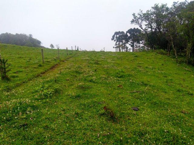 Propriedade Rural em São Francisco de Paula/RS - Rincão dos Kroeff - Foto 18