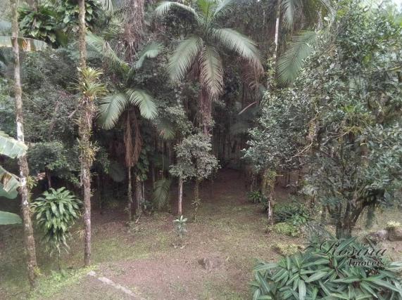 Chácara com 3 dormitórios à venda, 3100 m² por r$ 195.000,00 - porto de cima - morretes/pr - Foto 16