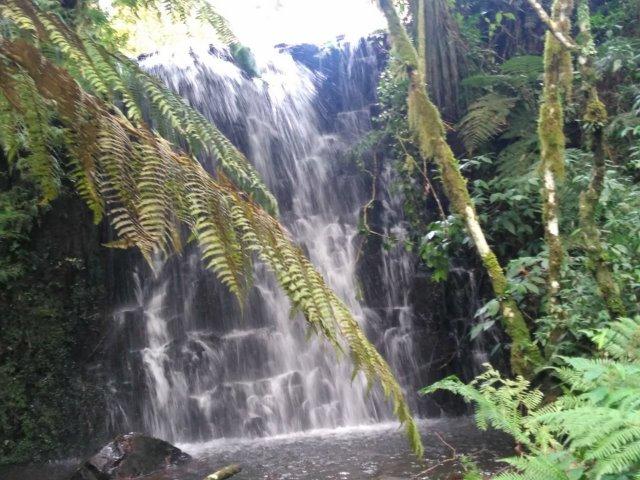 Propriedade Rural em São Francisco de Paula/RS - Rincão dos Kroeff - Foto 11