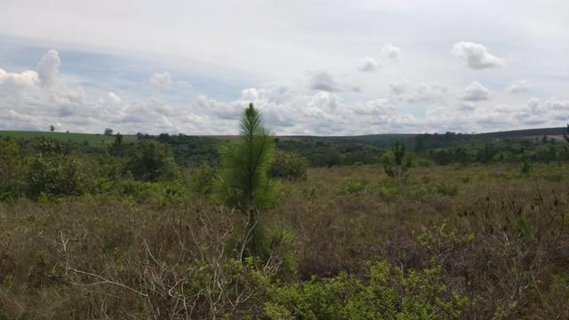 Urgente Fazenda a baixo valor de mercado (Angatuba SP) - Foto 19