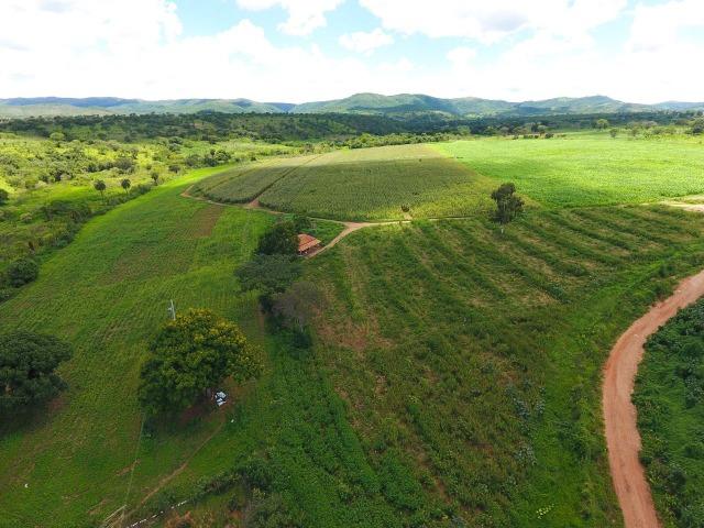 Fazendinha de 20000 financiada em ate 150meses - Foto 2