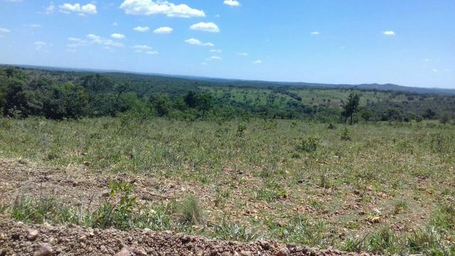 Fazendinha de 20000 financiada em ate 150meses - Foto 6