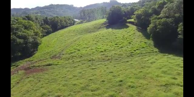 Área de terra de 14ha - Foto 16