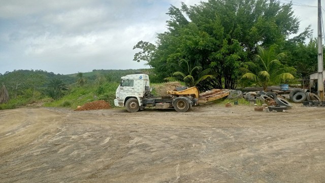 Vendo cavalo mecânico