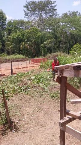 Vendendo esse terreno 