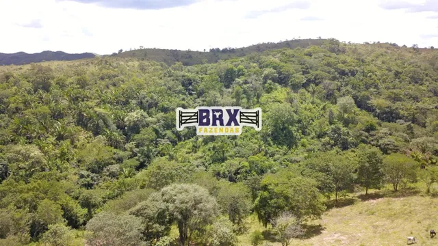 Fazenda para Gado a venda em Padre Bernardo - GO com 609 hectares
