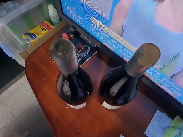 Vinho Argentino Safra 2011/2012 - Foto 3