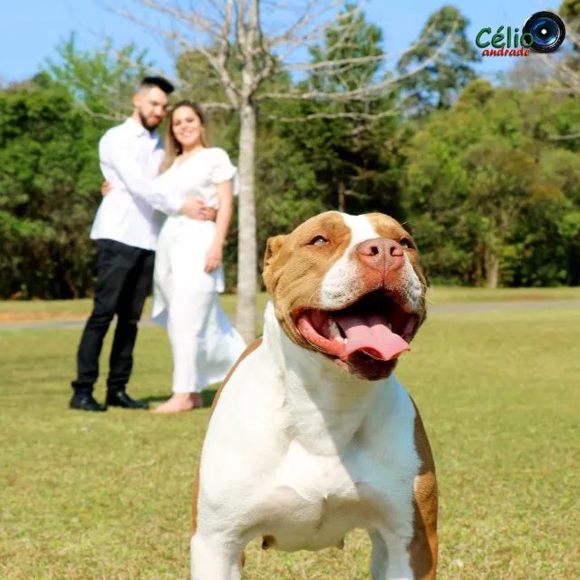 Ensaio fotográfico Profissional. Agende Agora um horário. - Foto 5
