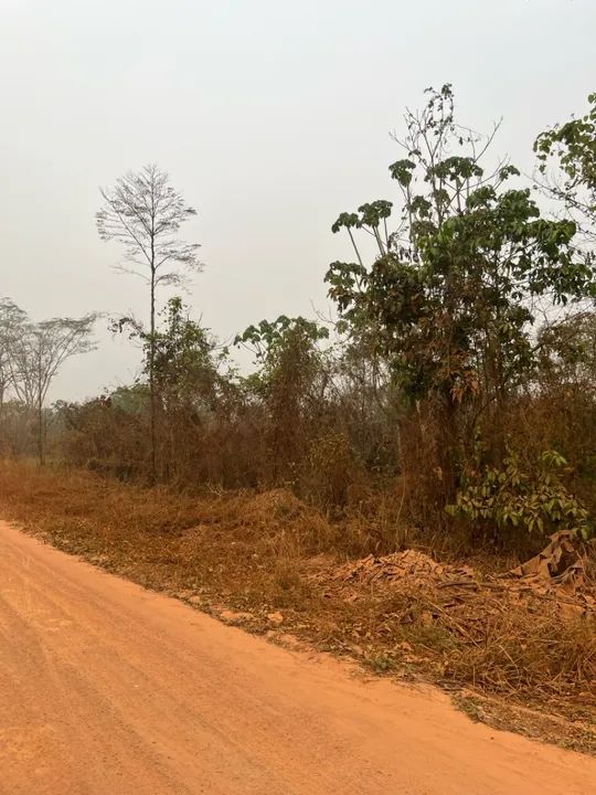 Vende- se uma Colônia no ramal da Usina Km 09 - Foto 4
