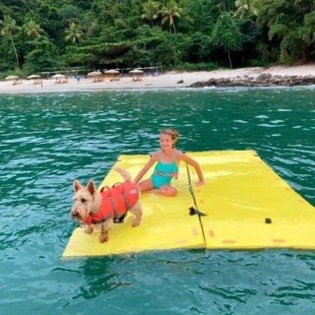 Flutuante 300 x 100 Promoção