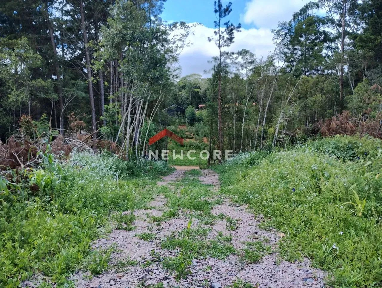 Lote em Rua Hermenegildo Soares Machado - Roseira de São Sebastião - São José dos Pinhais/ - Foto 2