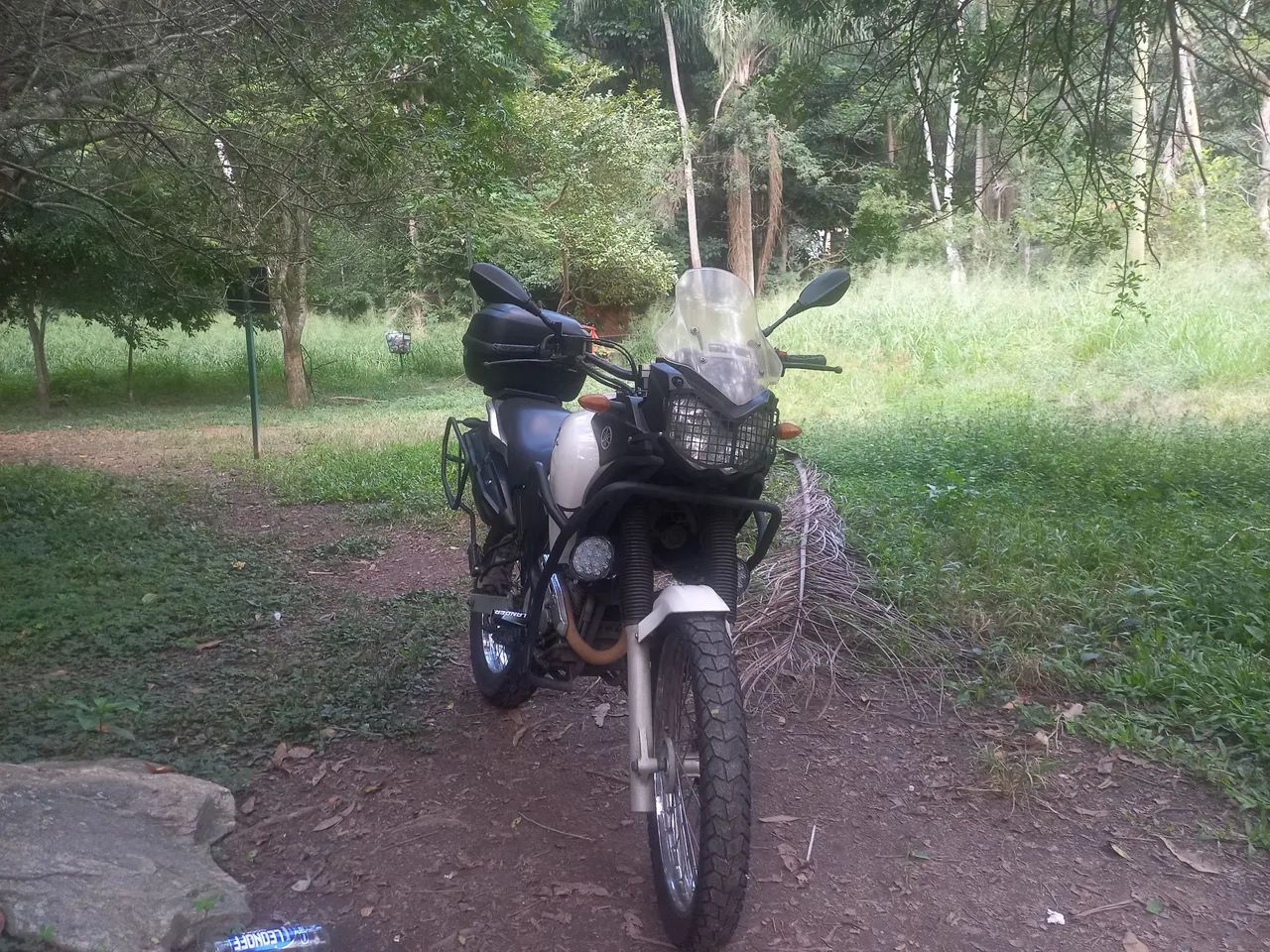Tenere 2011