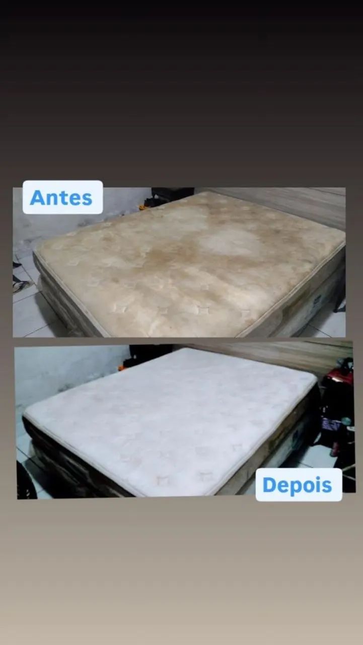 Lavagem a seco e higienização  $100