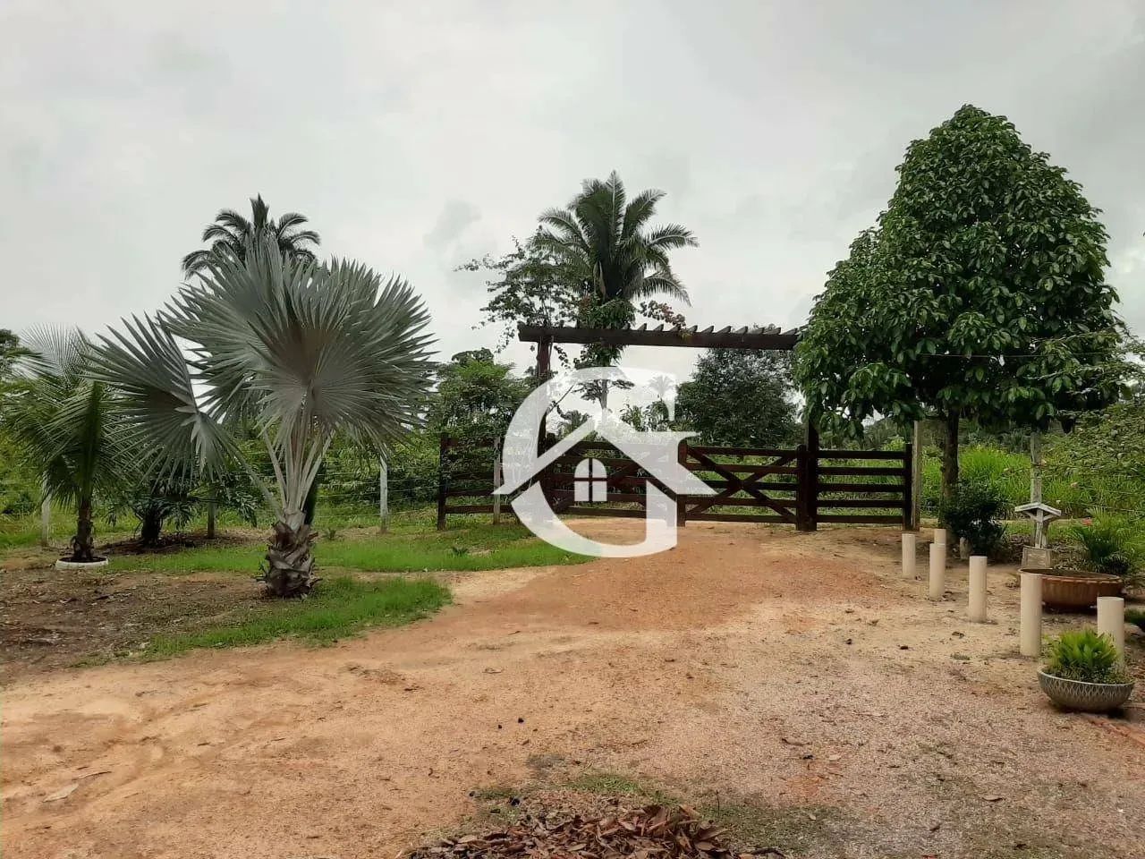 Chácara à venda, 8000 m² por R$ 380.000 - Ramal do Sossego - Porto Velho/RO - Foto 4