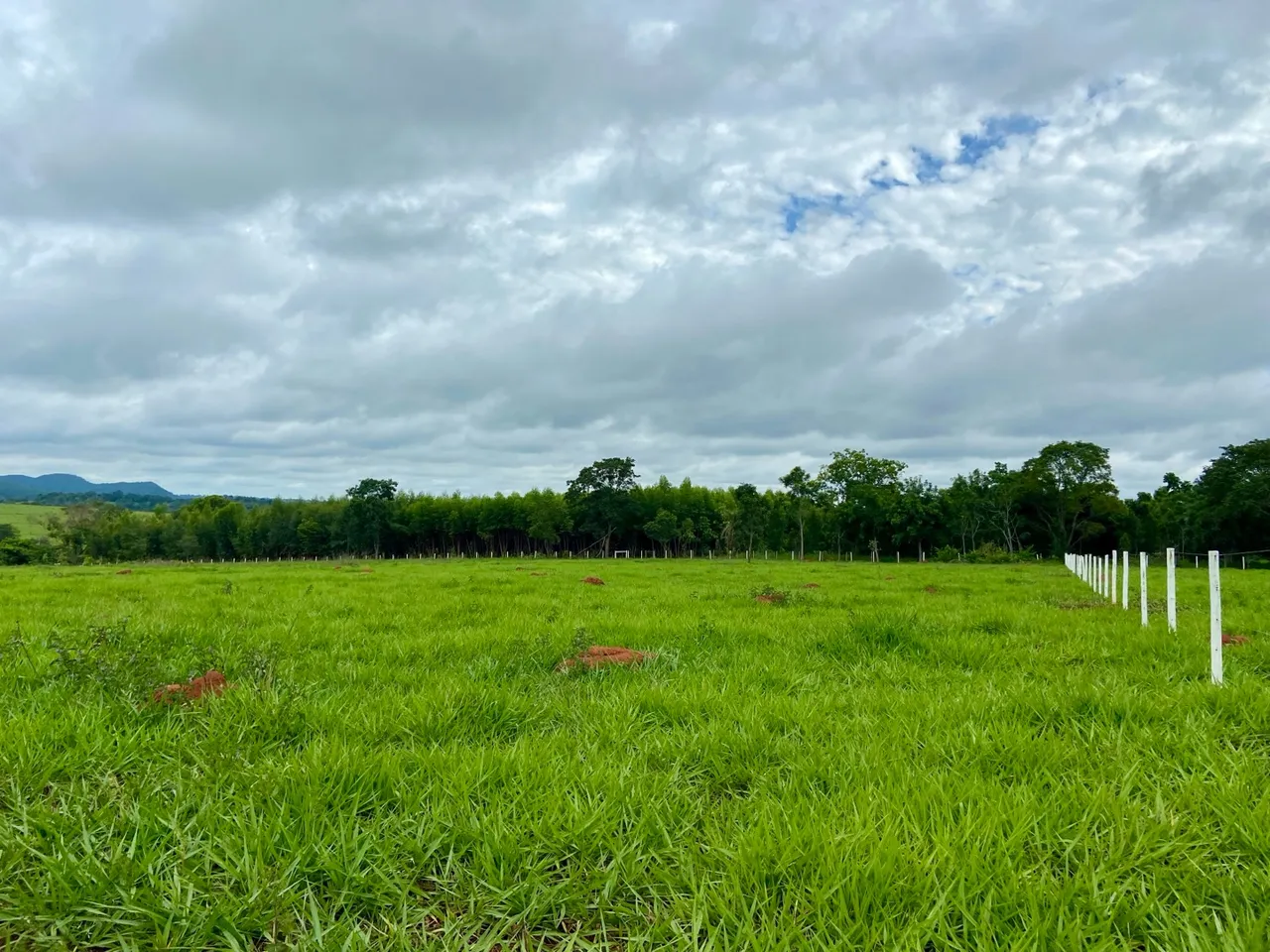 Chácara Plana, Cultura, Só 2 km de chão - Petrolina de Goiás