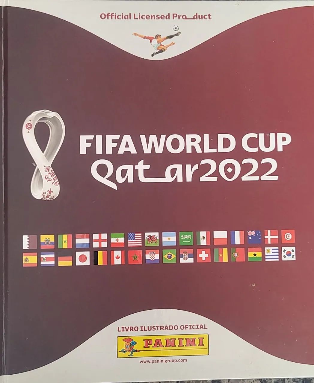 Livro Ilustrado Oficial FIFA World Cup Qatar 2022 - Panini