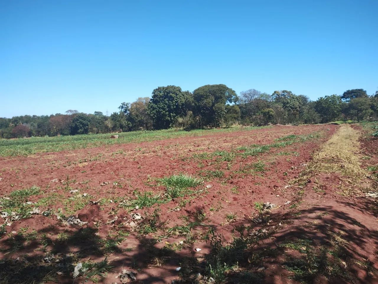ÁREA 8.800 M2 OCASIÃO  - Foto 4