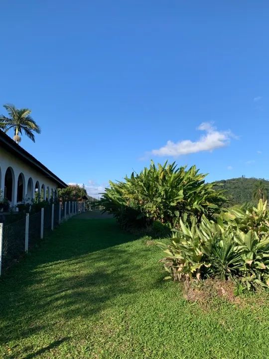 Lindo Terreno no Centro de Pomerode - SC - Foto 3