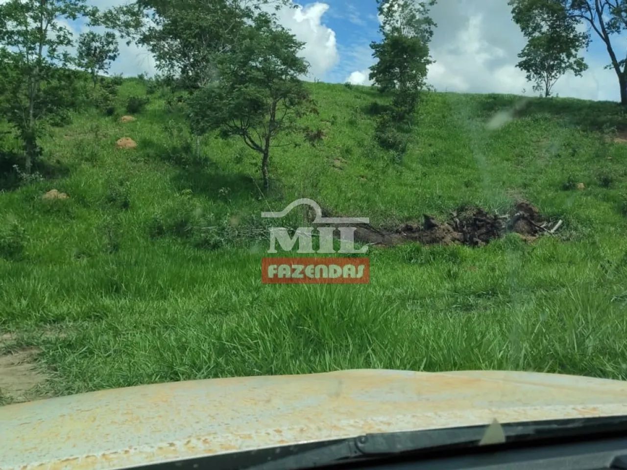 Fazenda de 100 alqueires (484 hectares) em Pires do Rio - GO - Foto 5