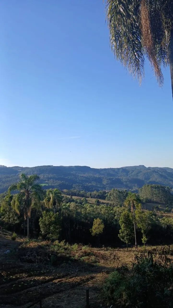 ANITÁPOLIS/SC - Lindo sítio já pronto com visita para serra geral 4hectares  - Foto 2