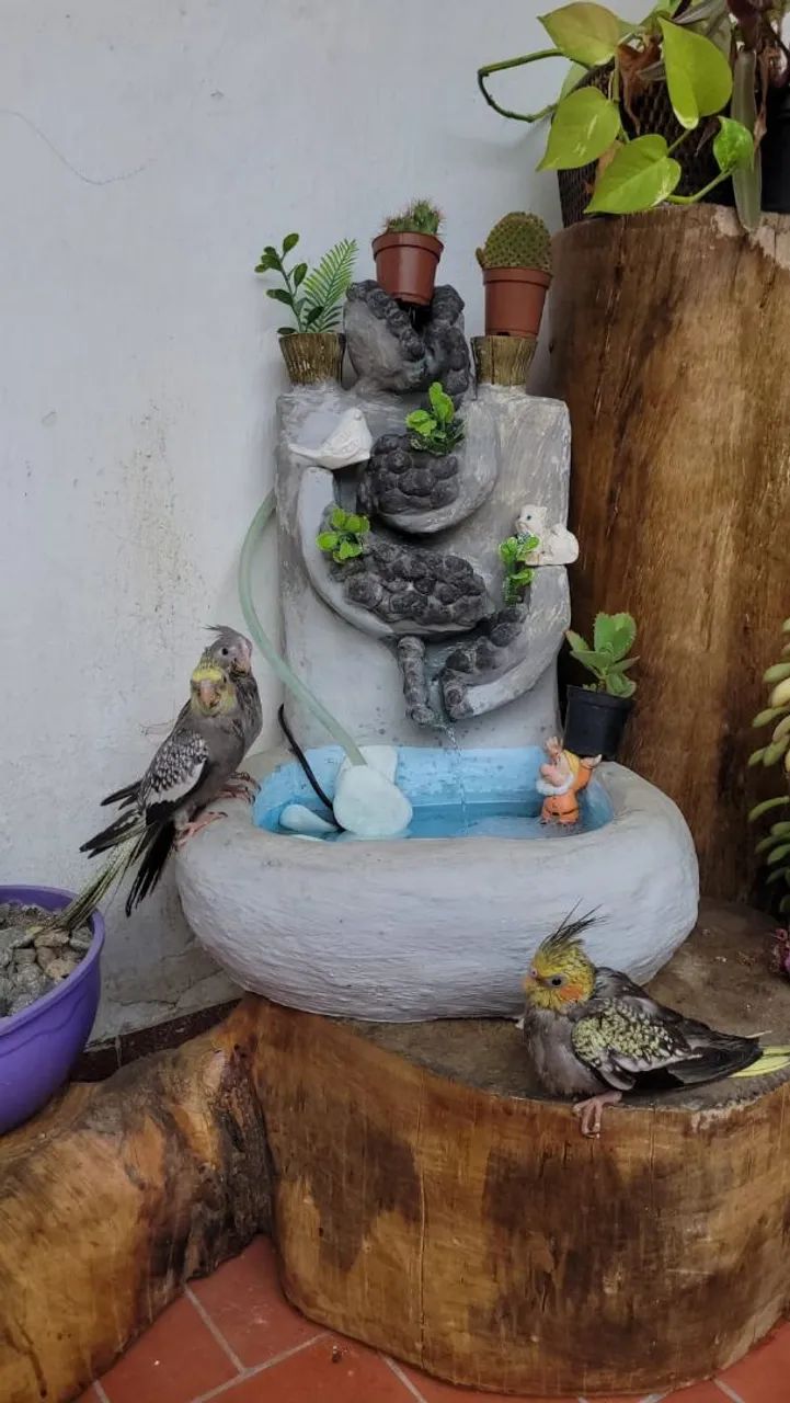 Fonte Decorativa para Jardim com Detalhes