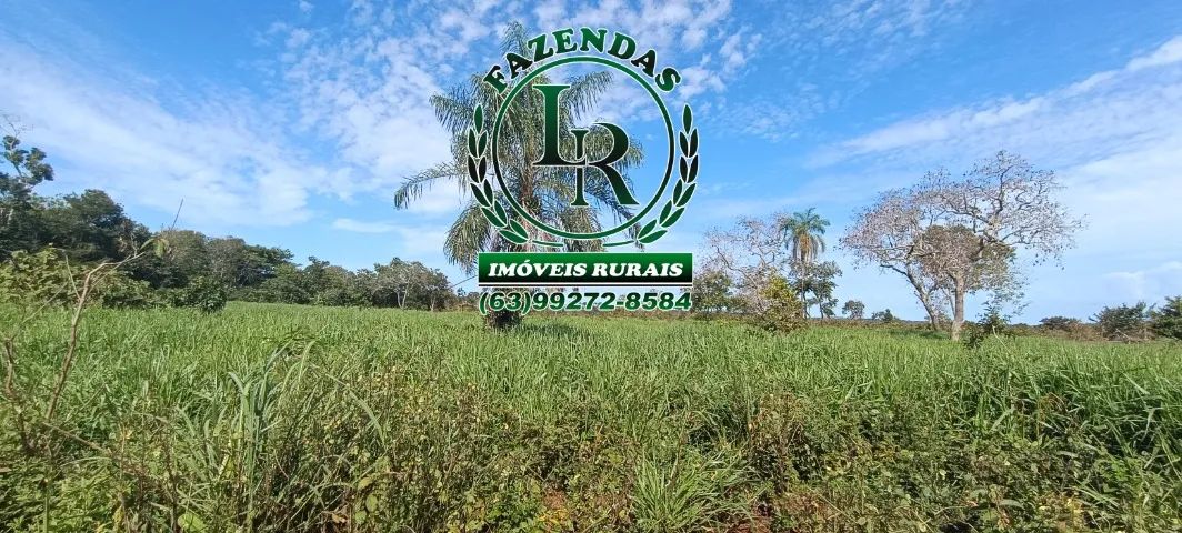 Fazenda 18 Alqueires Próximo a Palmas - Foto 4