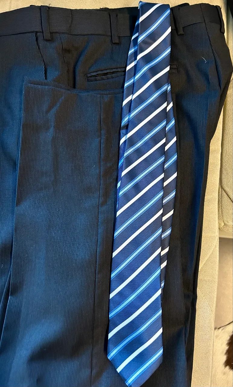 TERNO ITALIANO CALÇA + BLAZER + GRAVATA - Foto 2