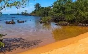 Terreno de 600 m2 a 200 mtrs da beira-mar paraiso e privativo! - Foto 6