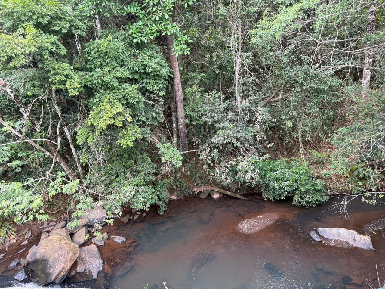 Terreno de 20 mil metros com casinha simples  - Foto 3