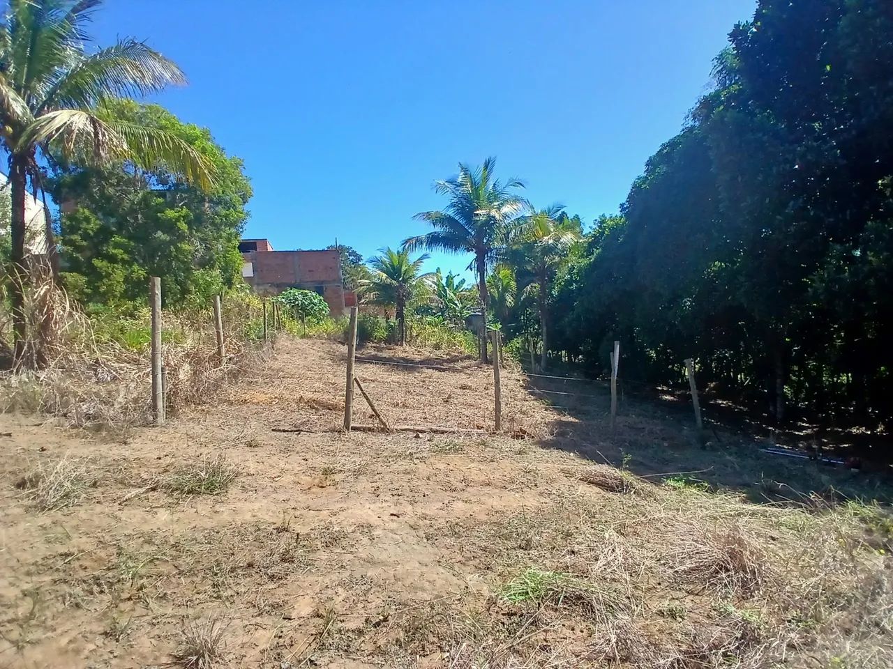 Terreno no bairro Porto dourado 2 - Foto 2
