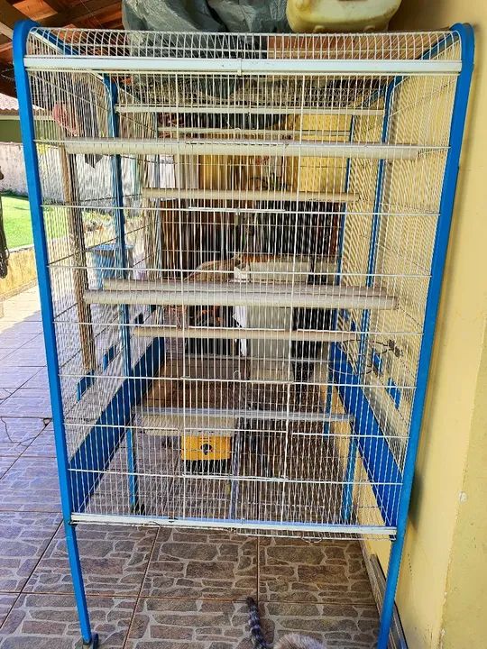 Gaiola para pássaros grande, duas divisórias - Foto 2