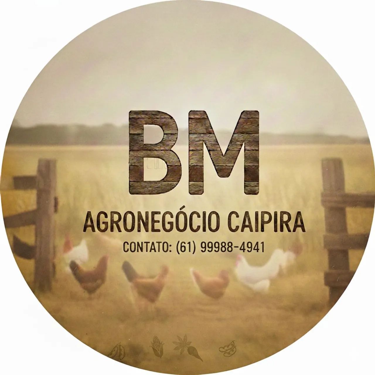 Manga Palmer  - Foto 2