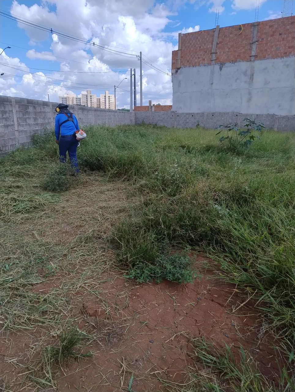 Limpeza de jardinagem 