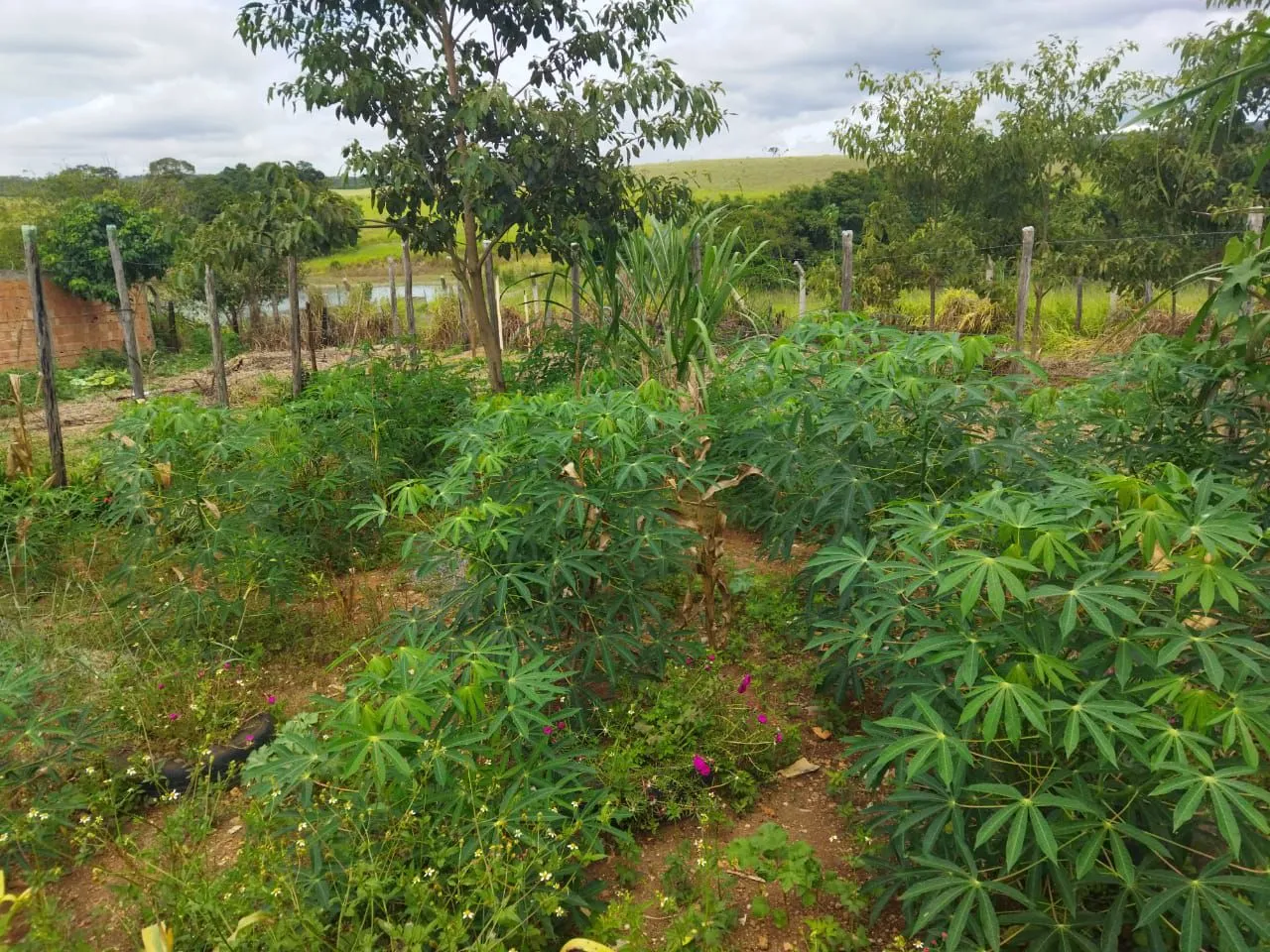 morro da cruz 2 lotes 70 mil são Sebastião DF