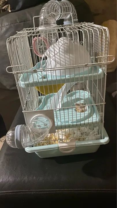 Gaiola de Hamster semi nova - Foto 2