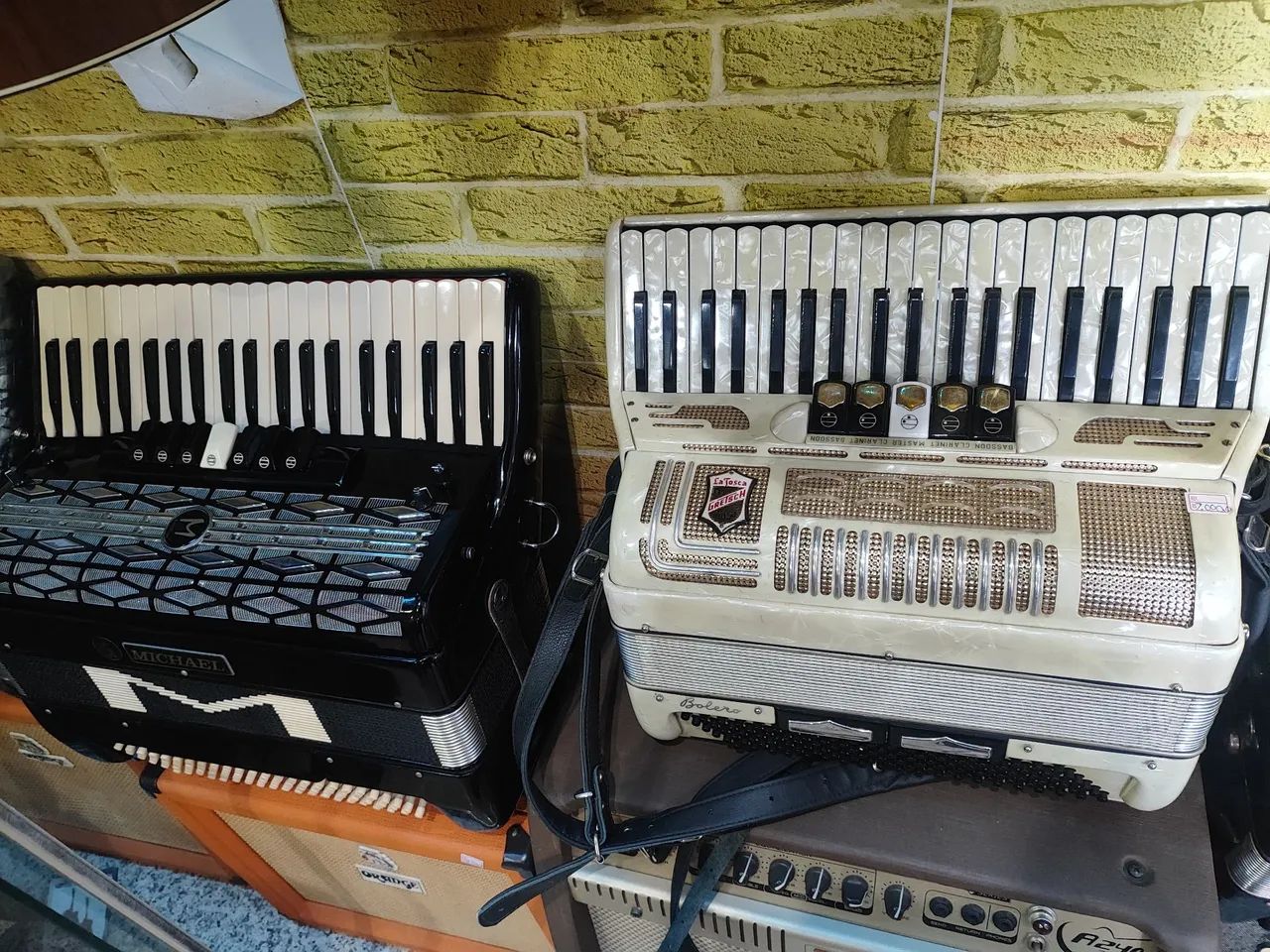 Acordeon michael - Foto 5