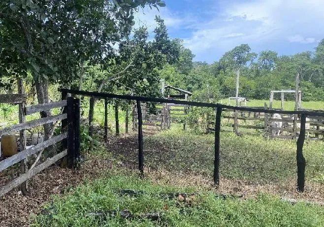 Imóvel em leilão - Foto 4