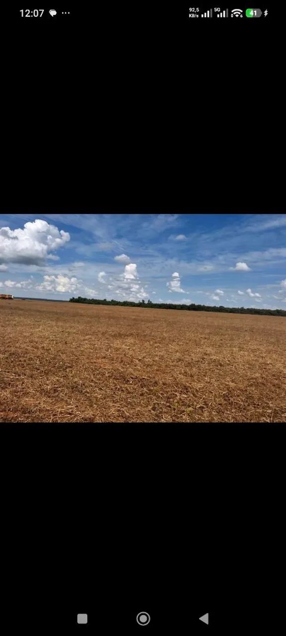 Fazenda de arrendamento 875, hec em nova ubiratã MT. - Foto 2
