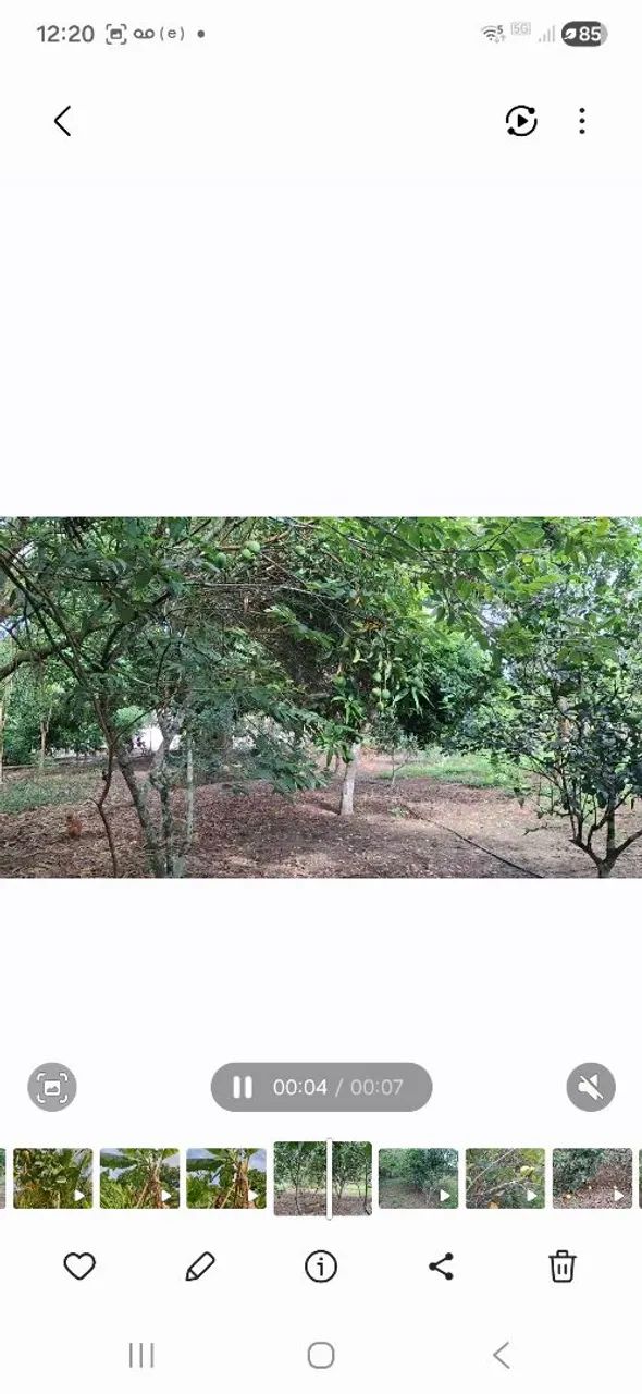 Sítio com PRODUÇÃO ORGÂNICA  - Foto 5