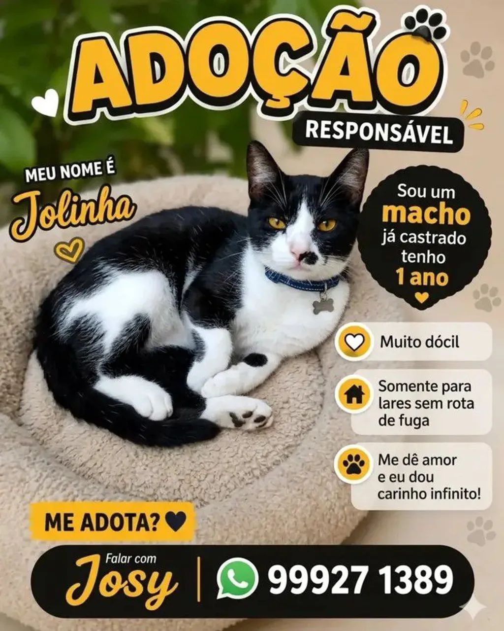 FRAJOLAS - Foto 4