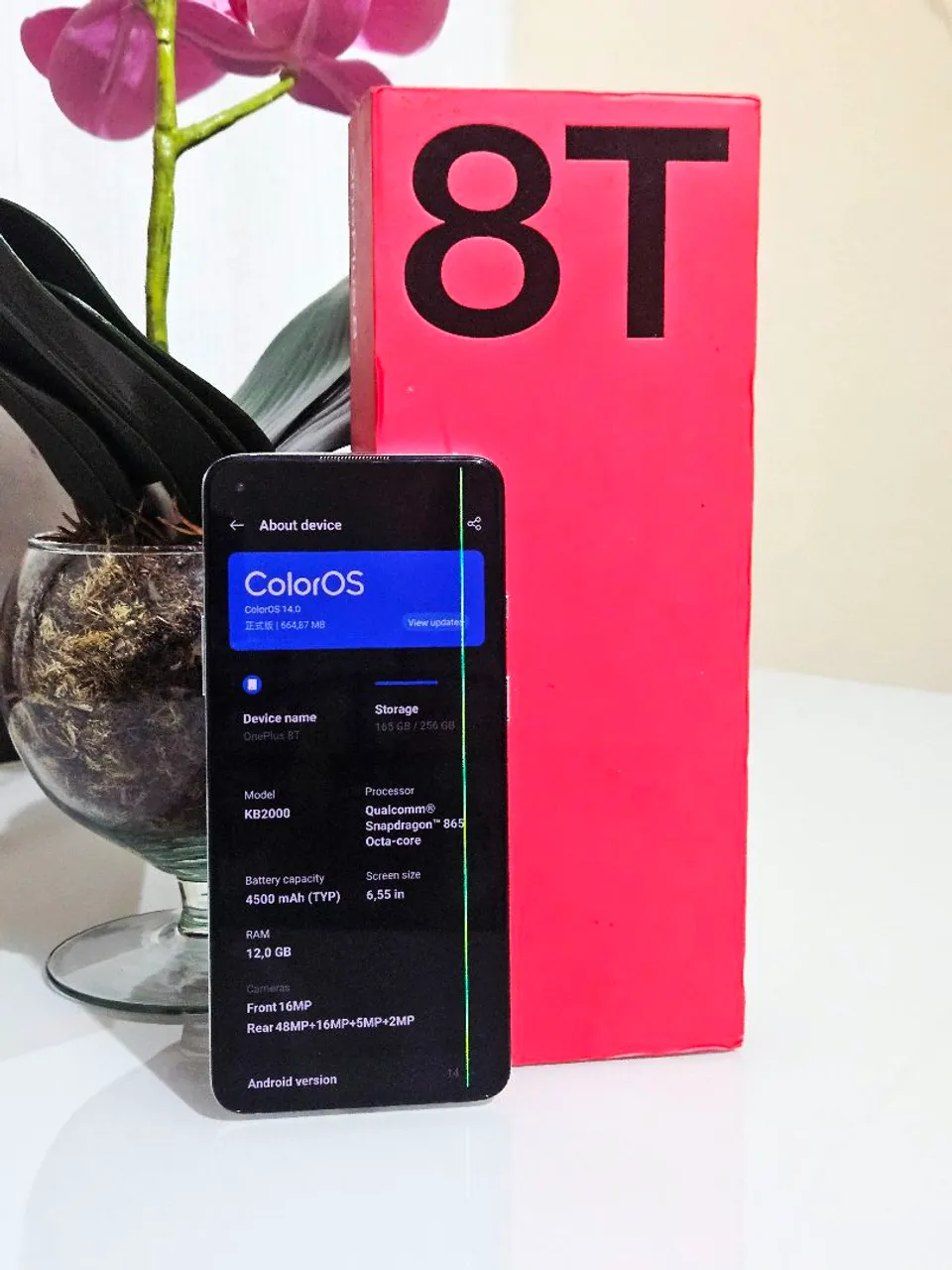 oneplus 6