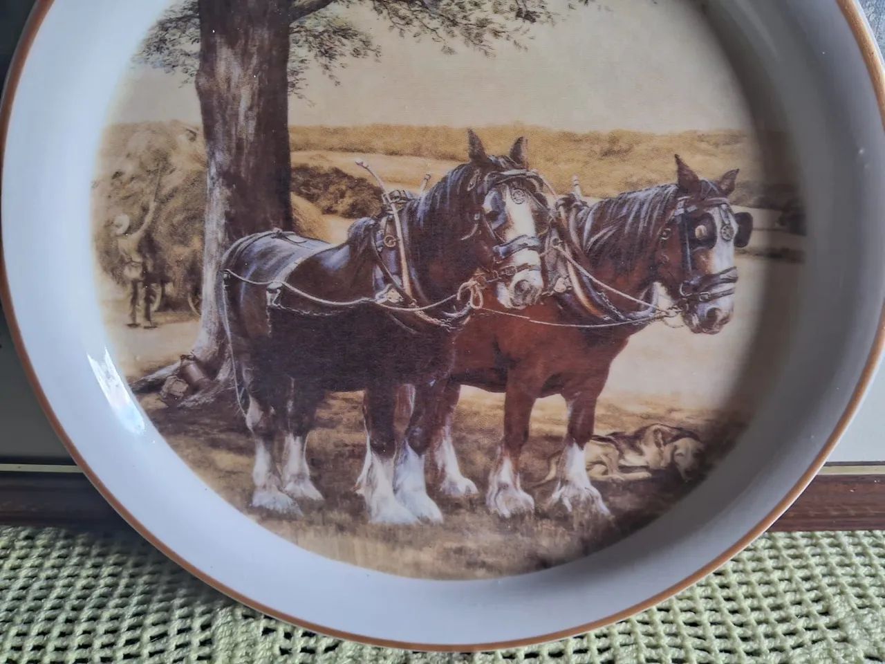 2 Pratos Antigo Porcelana 30 Centímetros  - Foto 3