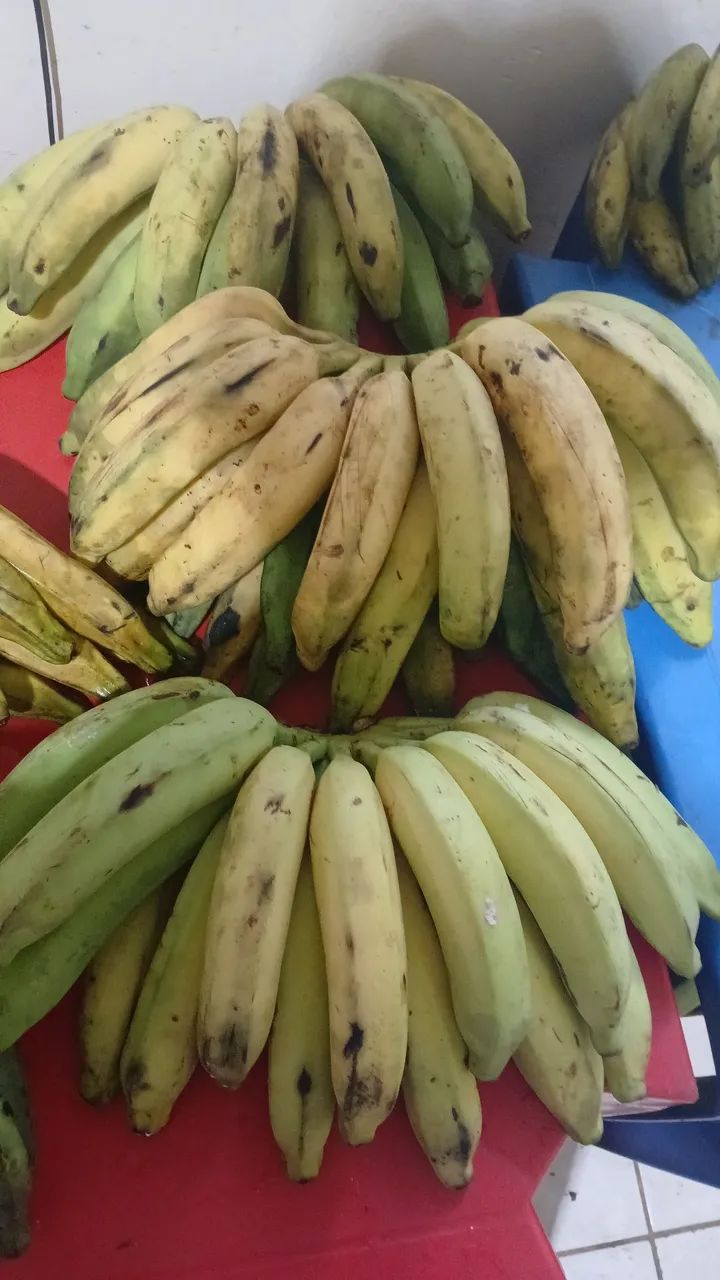 Vendo Banana ?  - Foto 5