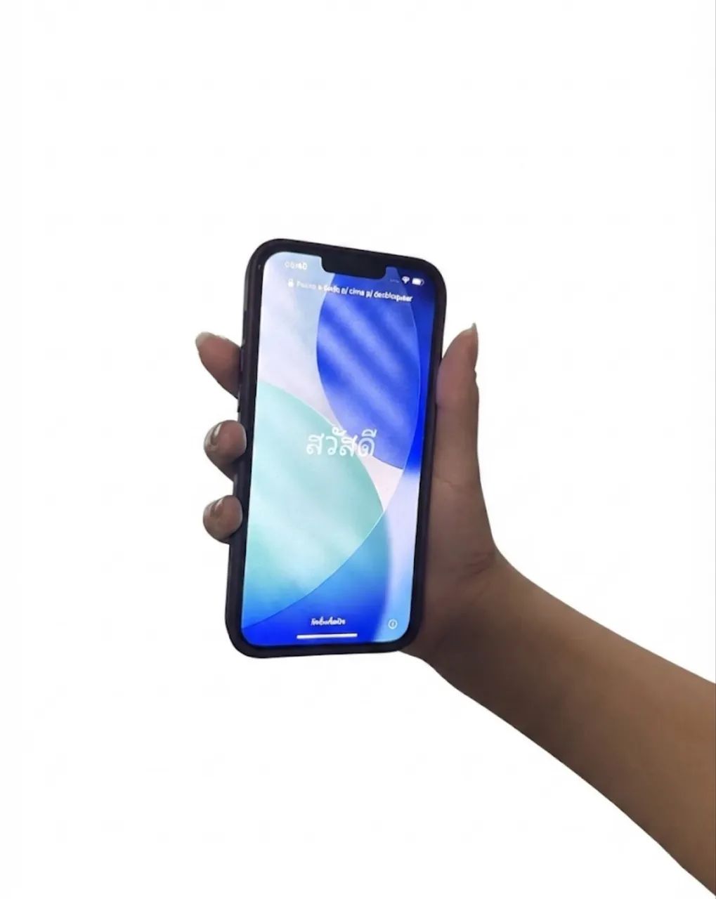 iPhone 13 Pro Max 256