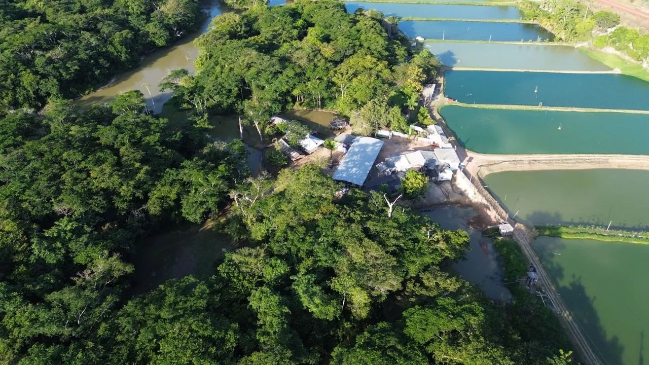 Banho do projeto  - Foto 2