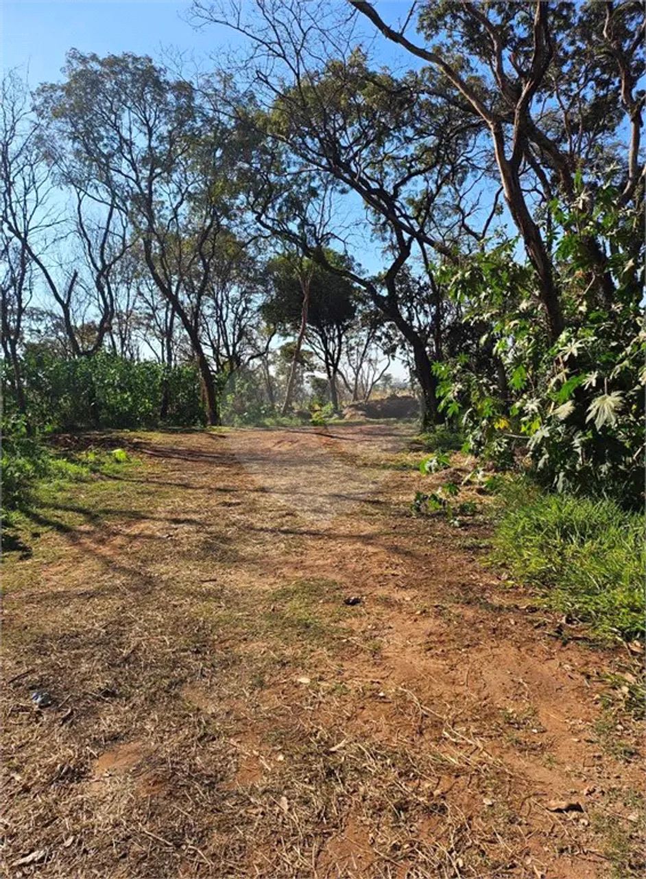 Sítio à venda em Sesmaria ouro - SP - Foto 5