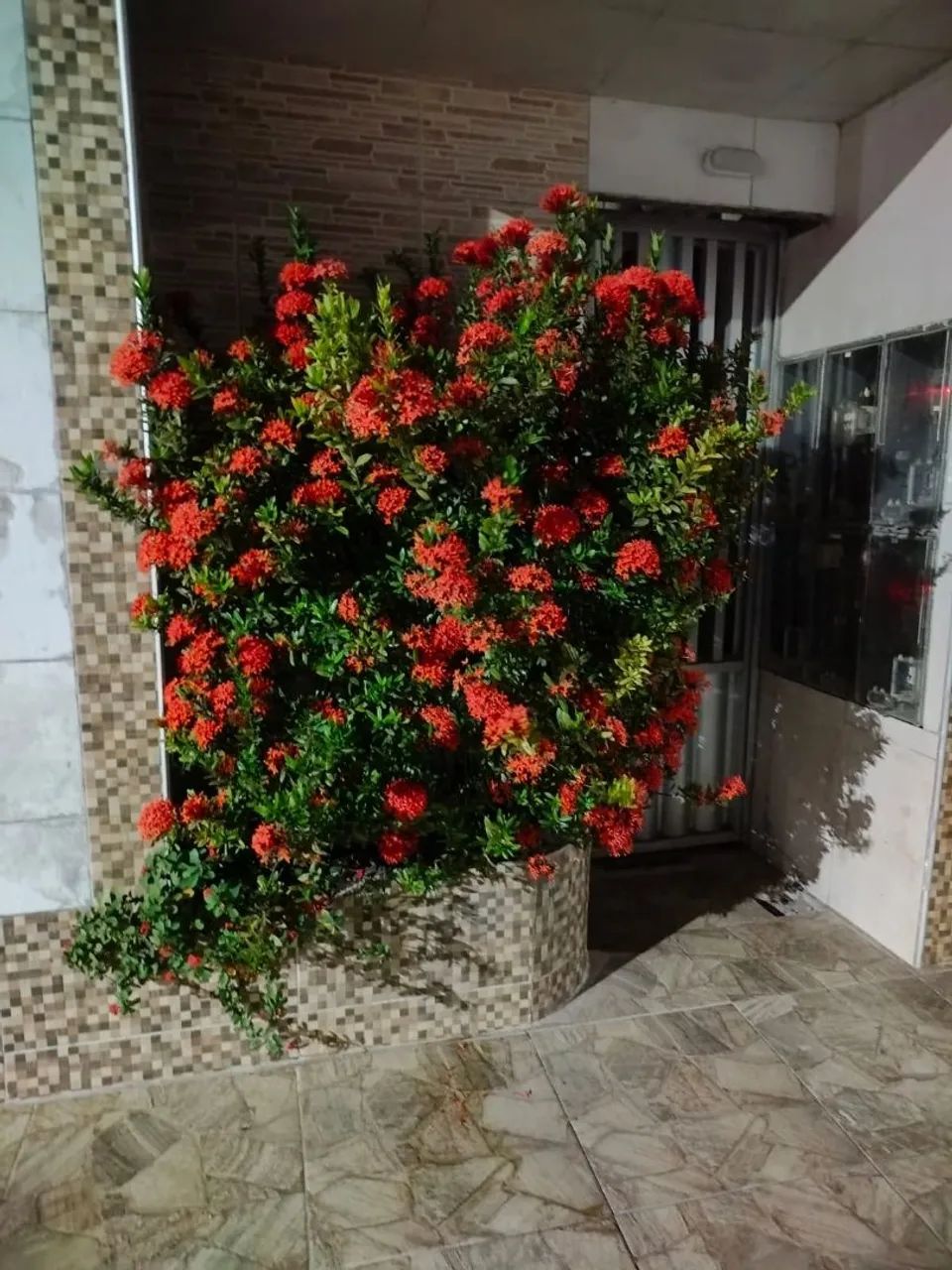 CASA EM NINI CONDOMÍNIO COM 2/4 NO JOÃO ALVES! - Foto 3