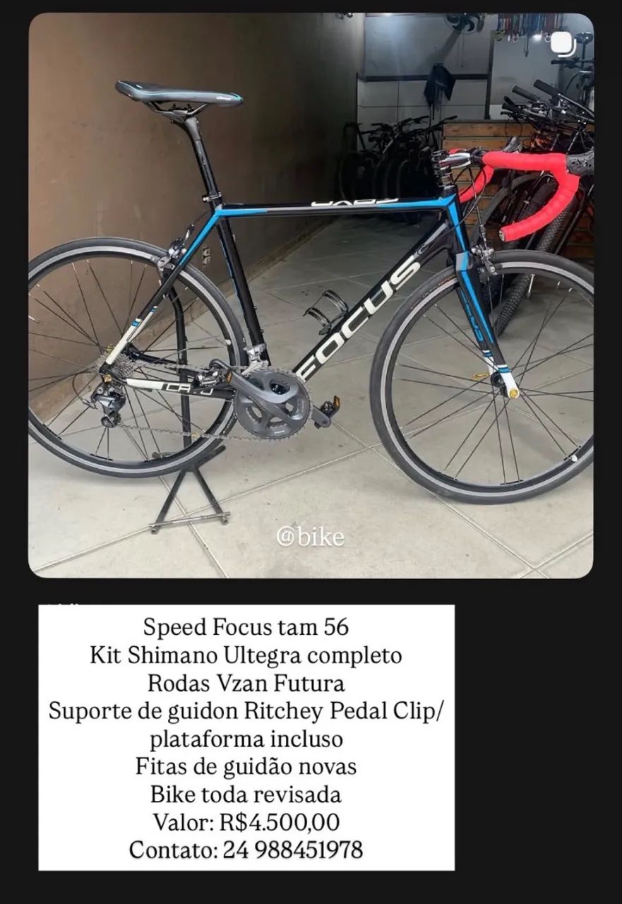Speed Focus Cayo - bike de strada 